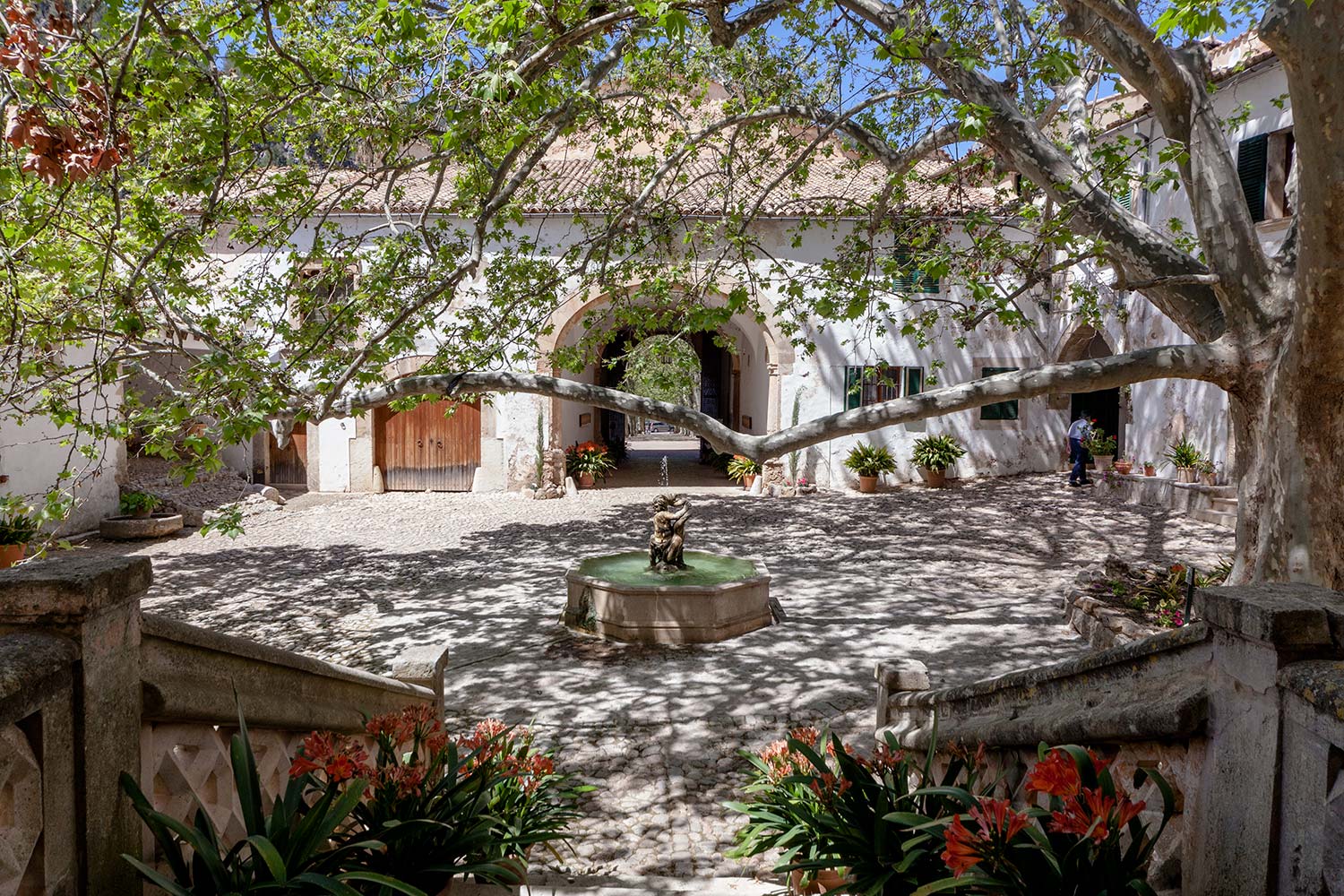 Casas singulares